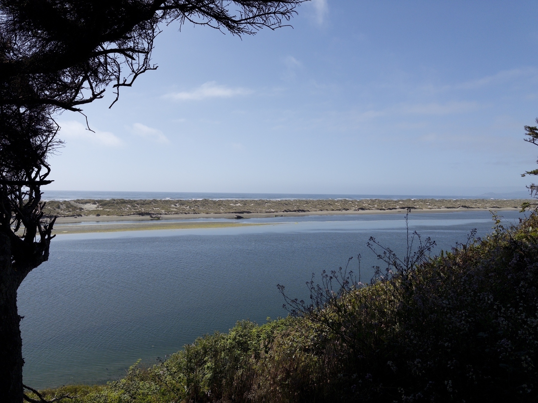 The calm Mad River estuary is in the foreground, with the Pacific Ocean visible just behind a spit of dunes. A silhouette of a tree frames the scene on the left.